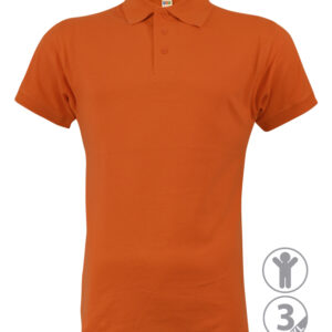 2-Polo MASTER